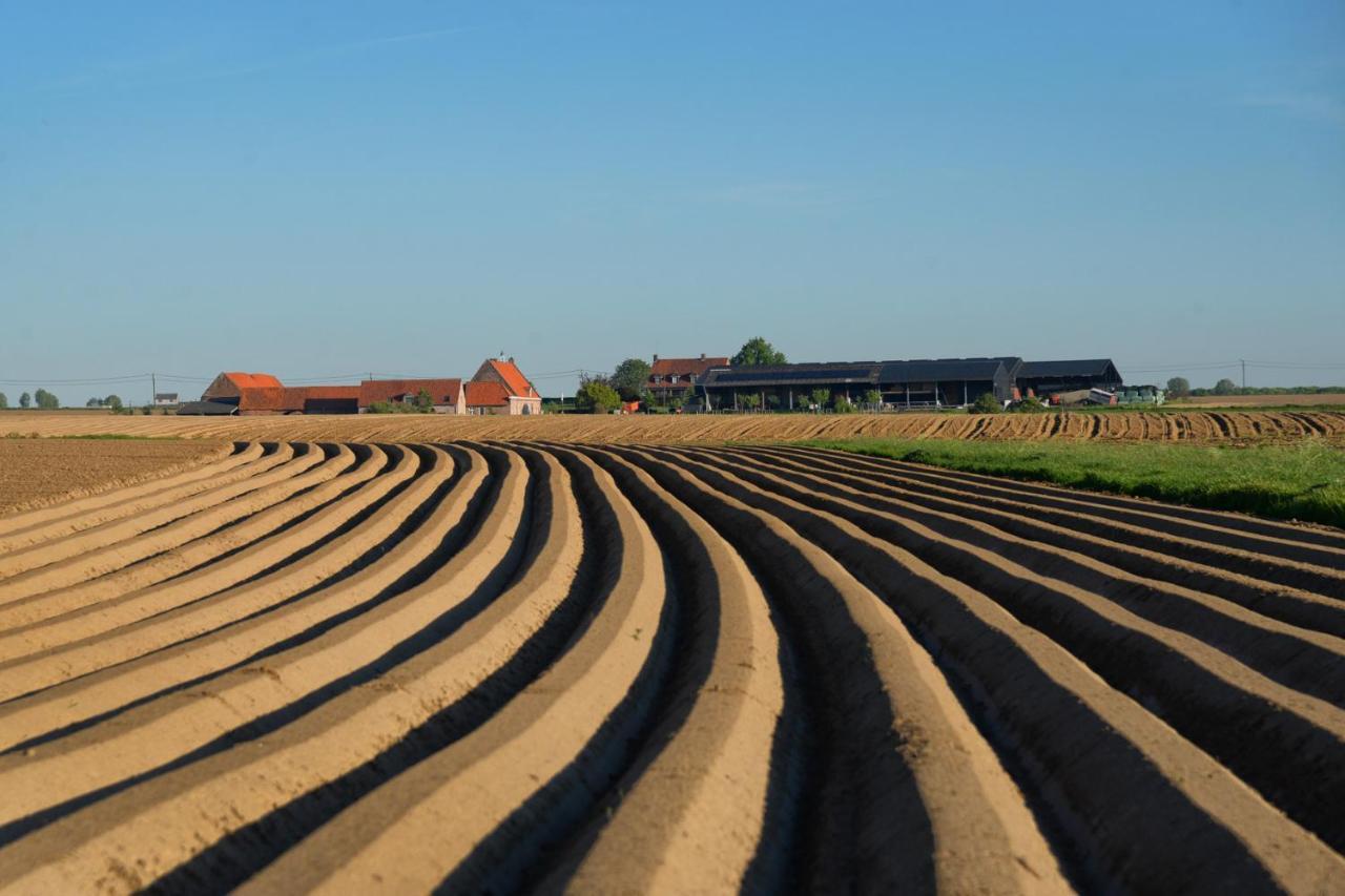 Hoeve Ten Rooden Duifhuize Sint-Denijs Exteriér fotografie